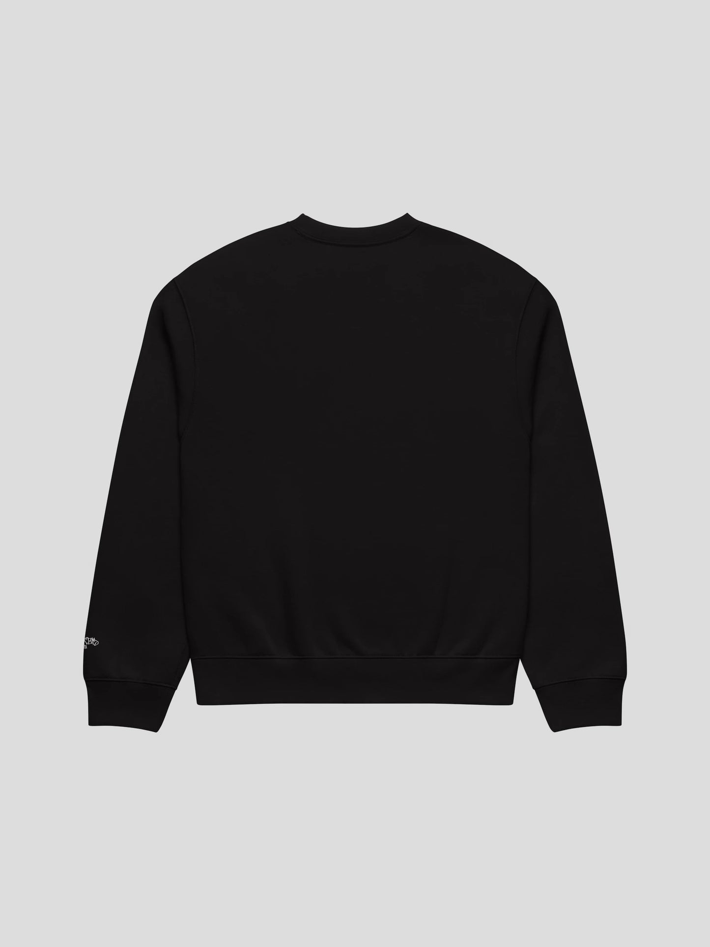 echo black unisex oversized streetwear sweatshirt back view