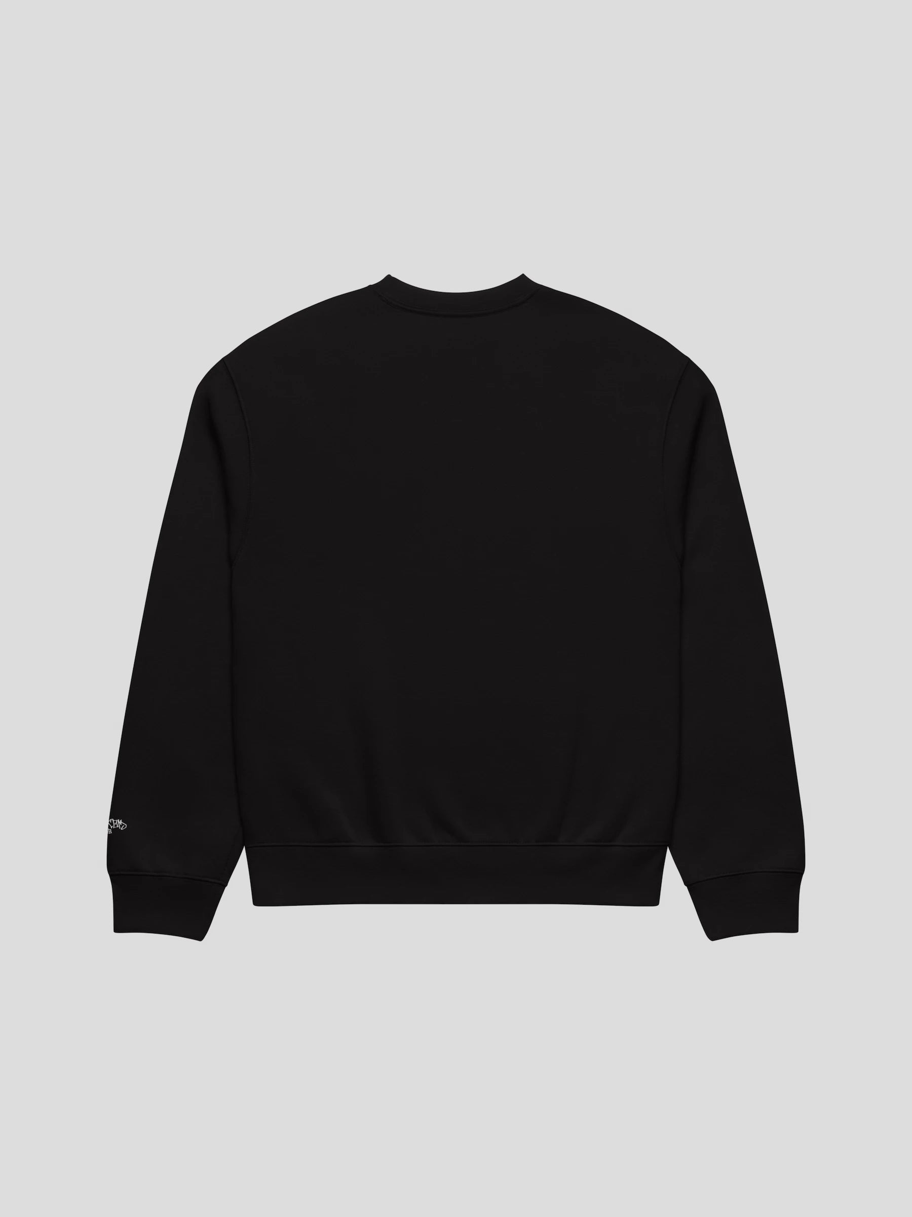 echo black unisex oversized streetwear sweatshirt back view