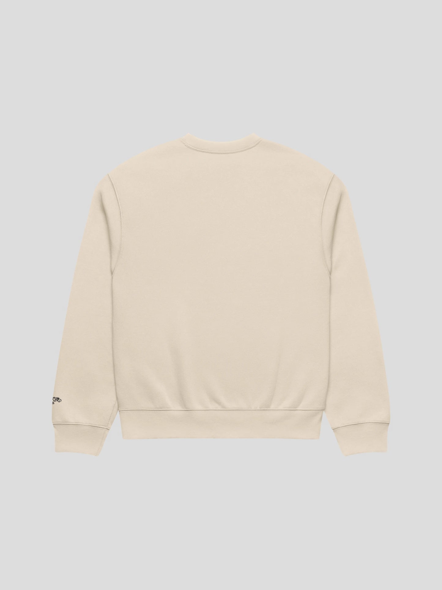 echo dust unisex oversized streetwear sweatshirt back view