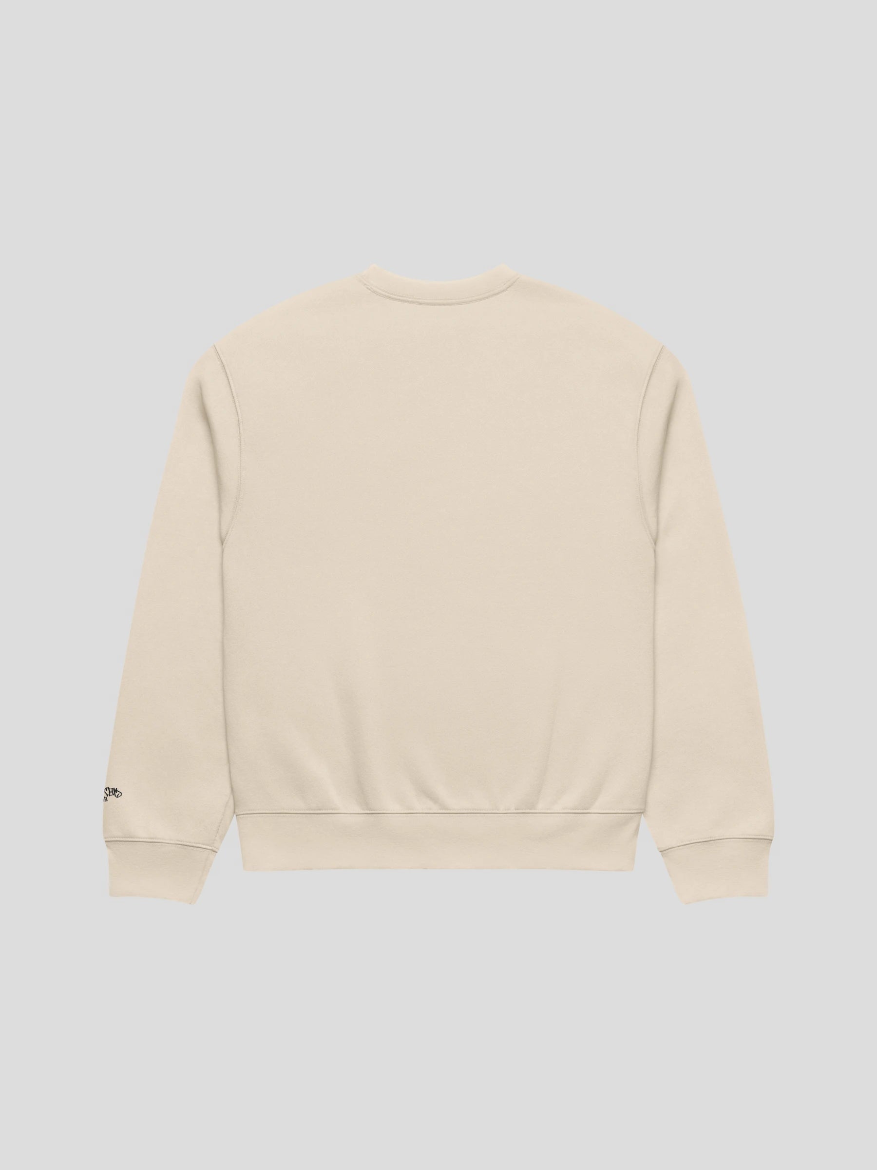 echo dust unisex oversized streetwear sweatshirt back view