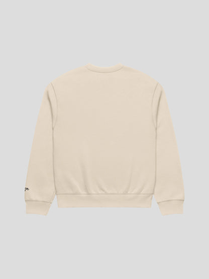 echo dust unisex oversized streetwear sweatshirt back view